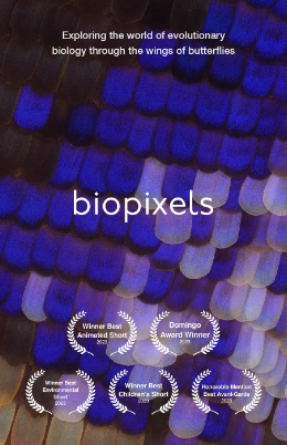 bio-pixels